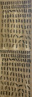 Συνχορδιες, 1994, λιθογραφία/ ξυλογραφία σε χαρτί, 153 Χ 52 εκ., αριθμ. κτήσης 4262
